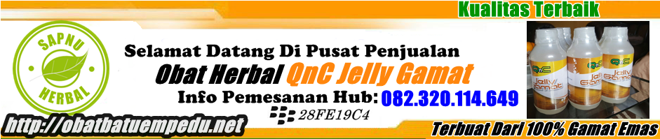 Silvia Agen Resmi QnC Jelly Gamat