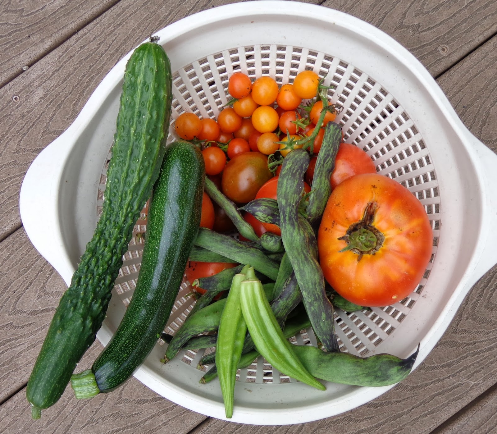 Growing Greener in the Pacific Northwest Can Okra be Grown in the