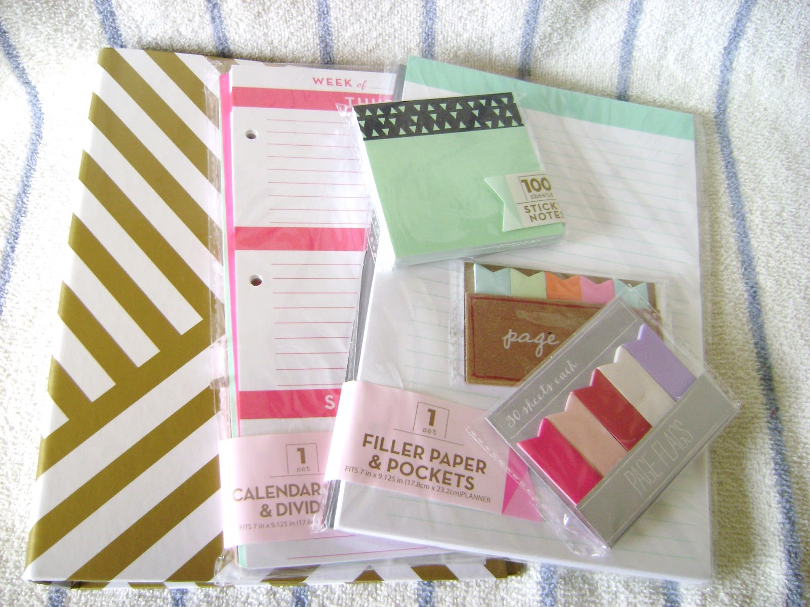 Mini Planner DIY Target Dollar Spot Planner Haul