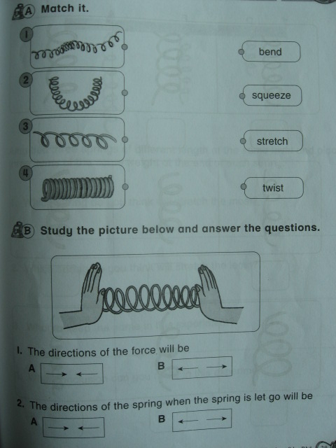 SCIENCE YEAR 3: SPRINGS
