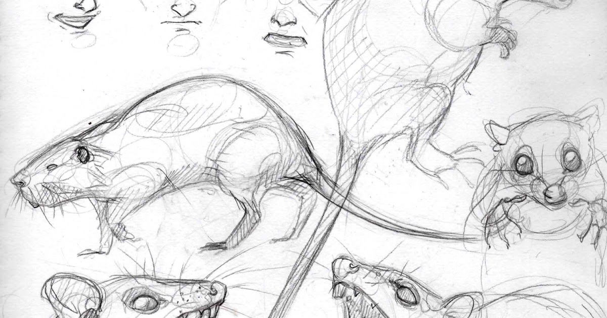 Princess Bride Project Fat fat the water rat!