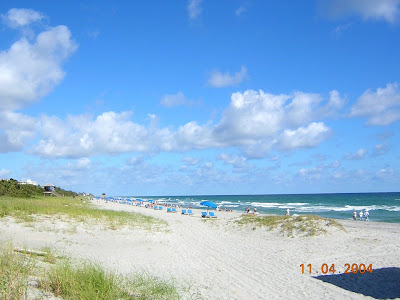 Delray beach florida Delray Beach surf