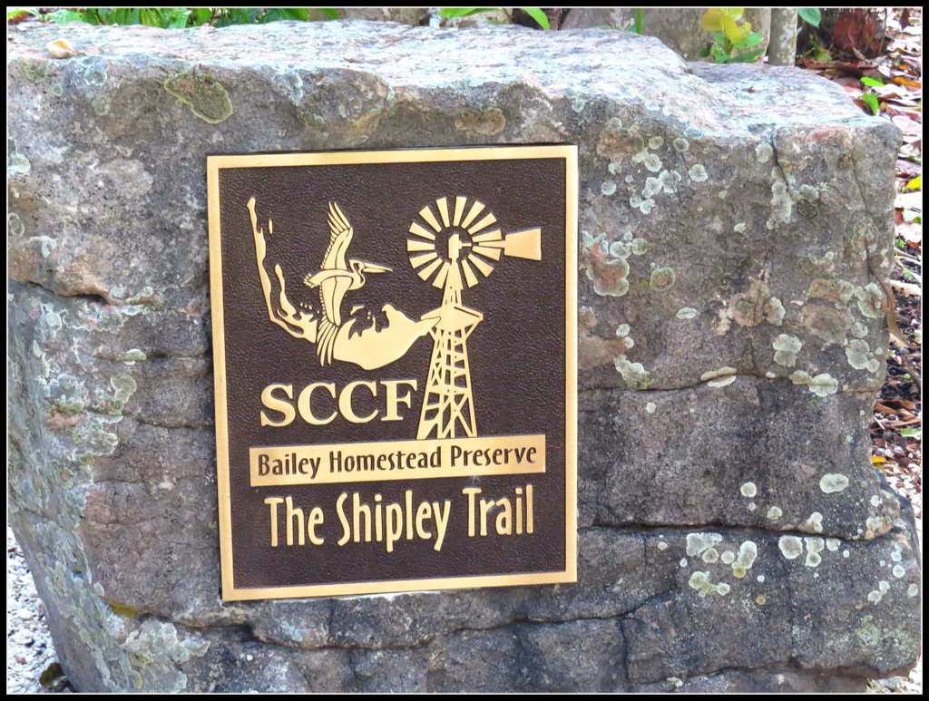 Bird Tweets The Shipley Trail along the Bailey Homestead Preserve