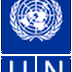 Vacancy at UNDP