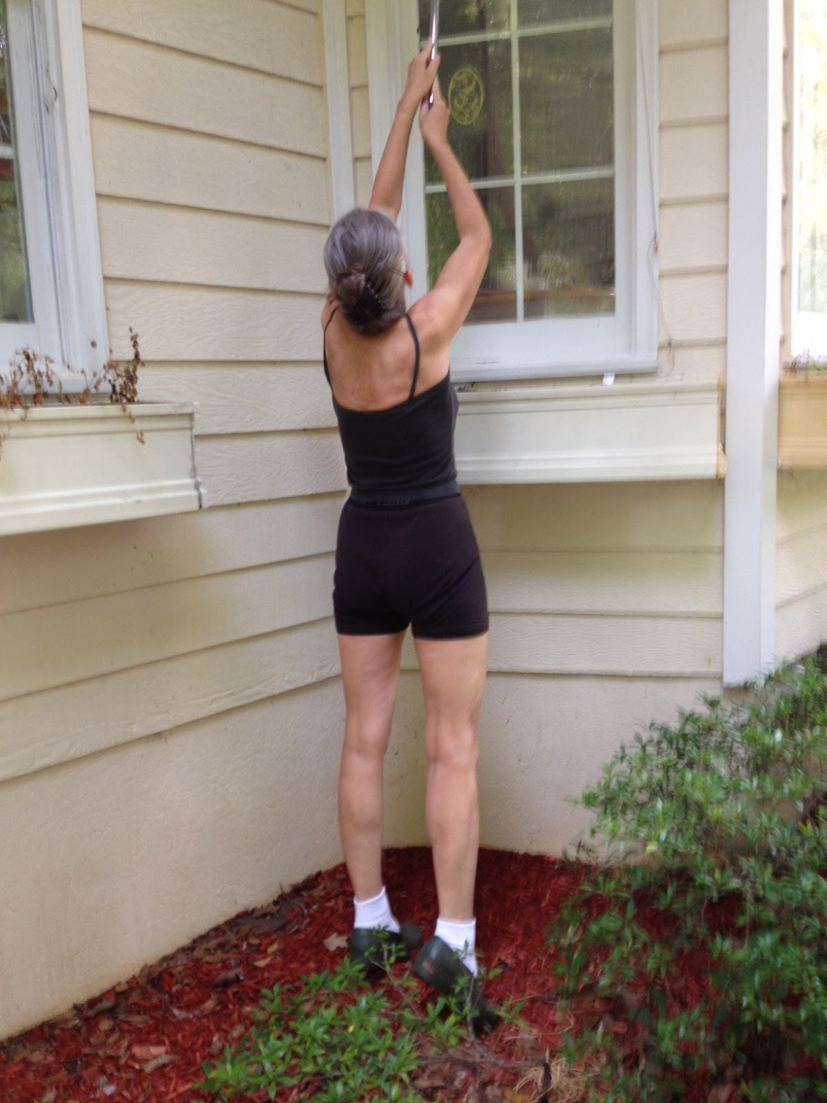 MARIETTE'S BACK TO BASICS: Cleaning Windows
