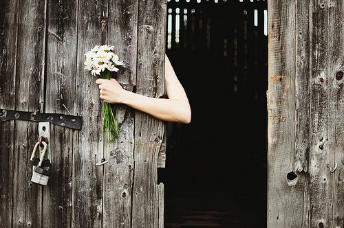 thankful 1 tumblr lwh0bpIZel1qei7a7o1 500 thankful