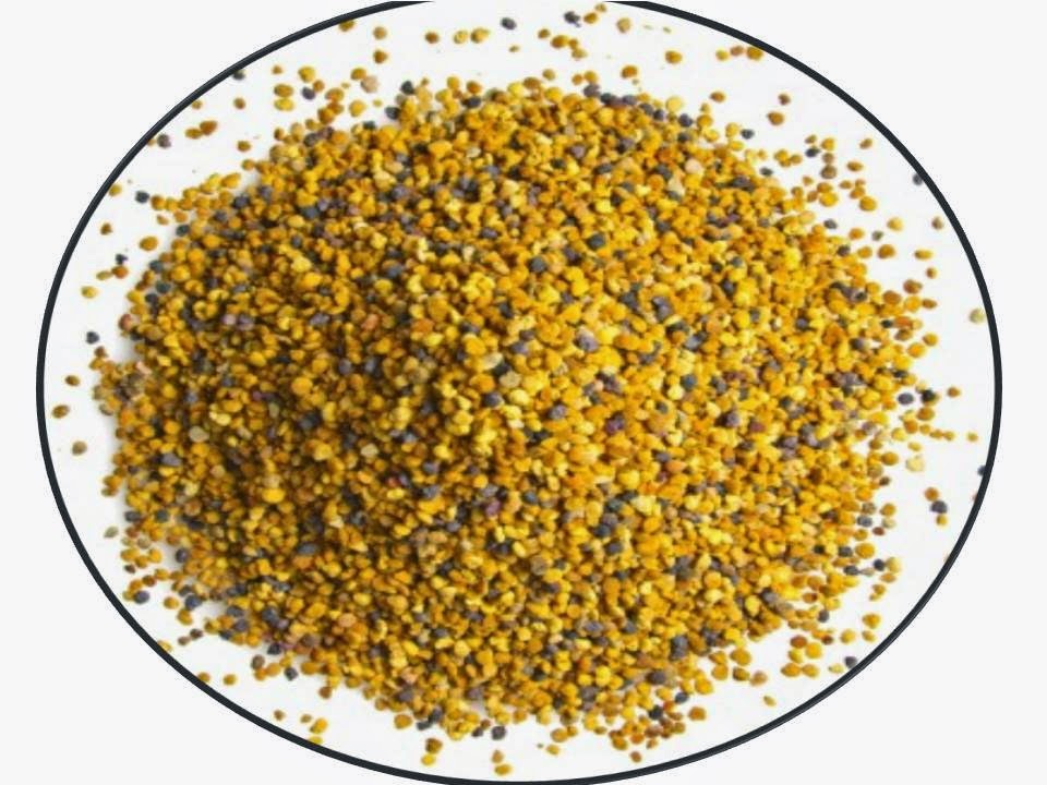 Optima Alimentación Jalea Real