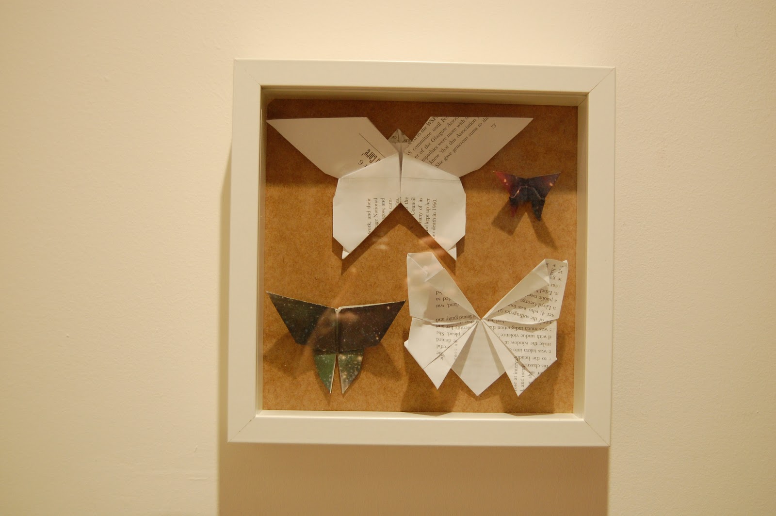 Highland Fling DIY Entomology Display Box
