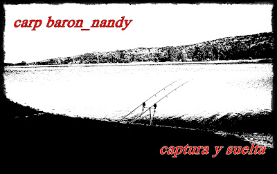 carp baron_nandy