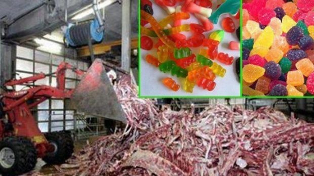 ΤΩΡΑ ΚΑΡΑΜΕΛΕΣ… ΧΑΛΑΛ ΚΑΙ ΟΧΙ ΤΙΣ ΚΛΑΣΙΚΕΣ ΤΩΡΑ ΚΑΡΑΜΕΛΕΣ… ΧΑΛΑΛ ΚΑΙ ΟΧΙ ΤΙΣ ΚΛΑΣΙΚΕΣ