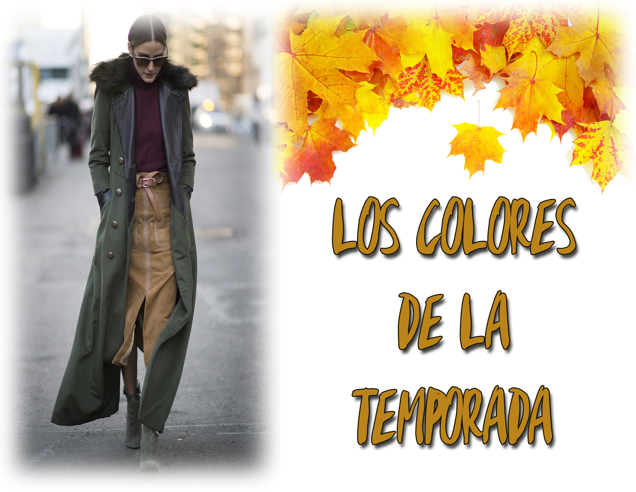 LOS COLORES DE LA TEMPORADA DE OTOÑO APRENDIENDO A QUERERME