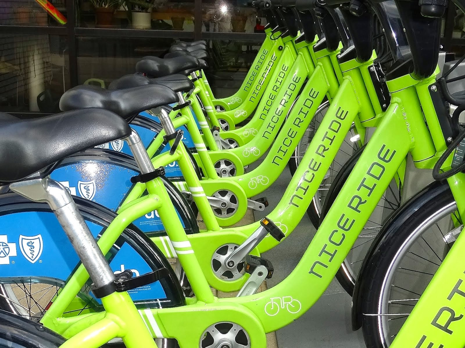 Poppy's Velo Ventures. Shop Hot, New "The Foundry."