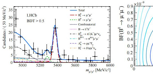 "All results are consistent with the Standard Model (SM) and constrain New Physics..."