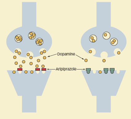Haloperidol mechanism of action