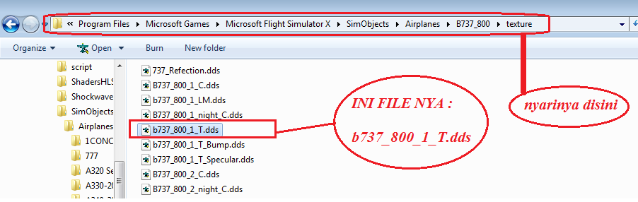 Cara Menginstal Flight Simulator X Cara Menginstal Flight Simulator X