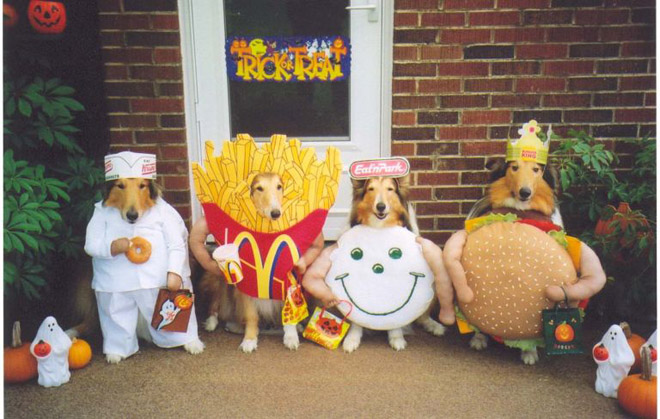 صور كلاب مضحكة Most-funny-dog-costumes+(20)