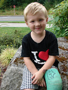 The broken leg (dsc )