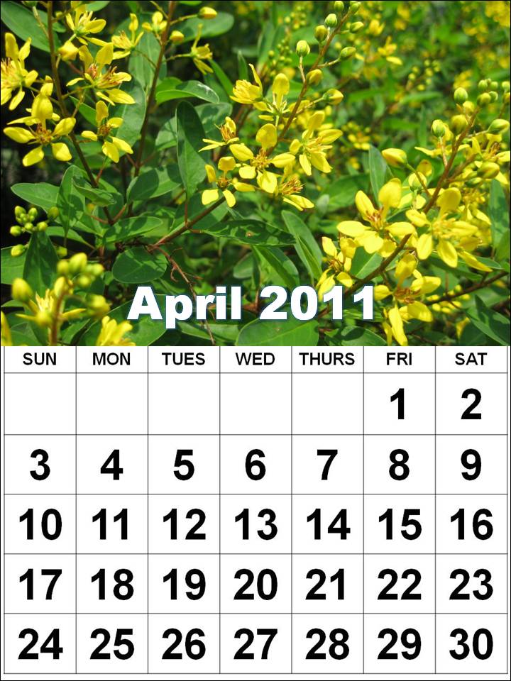 April+month+2011+calendar