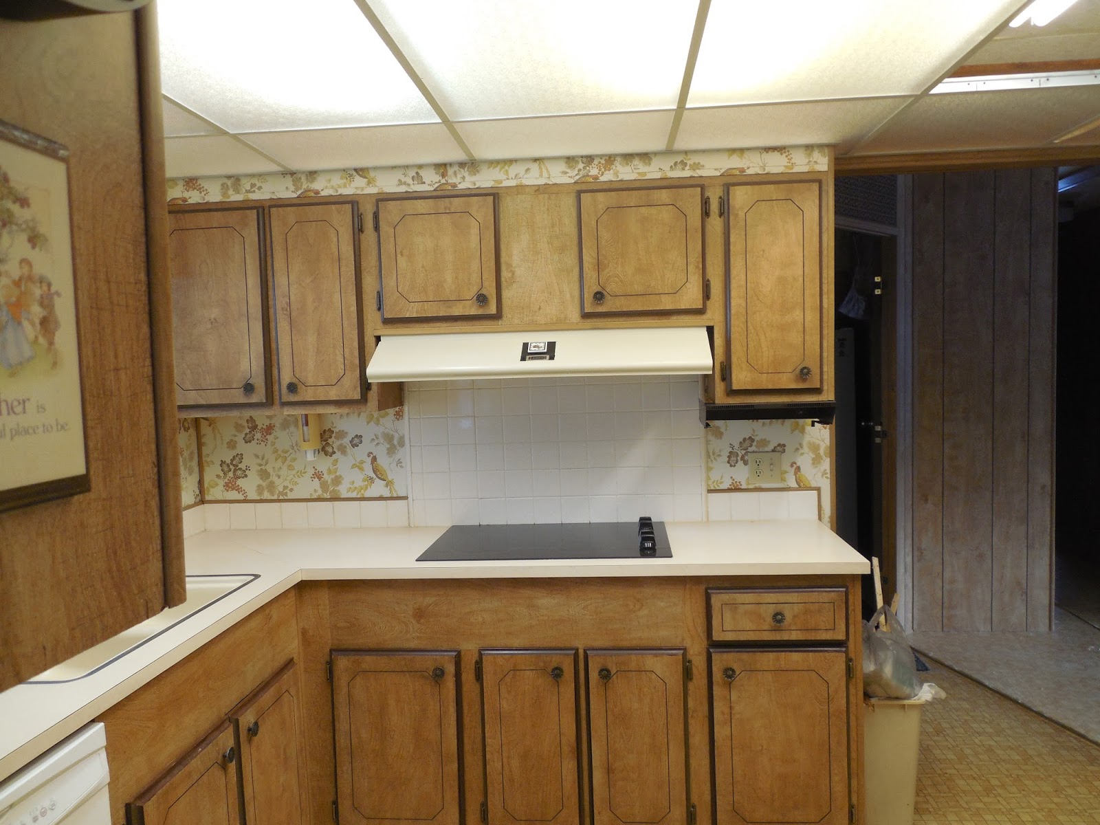 Kitchen Remodel The Diva Farmer