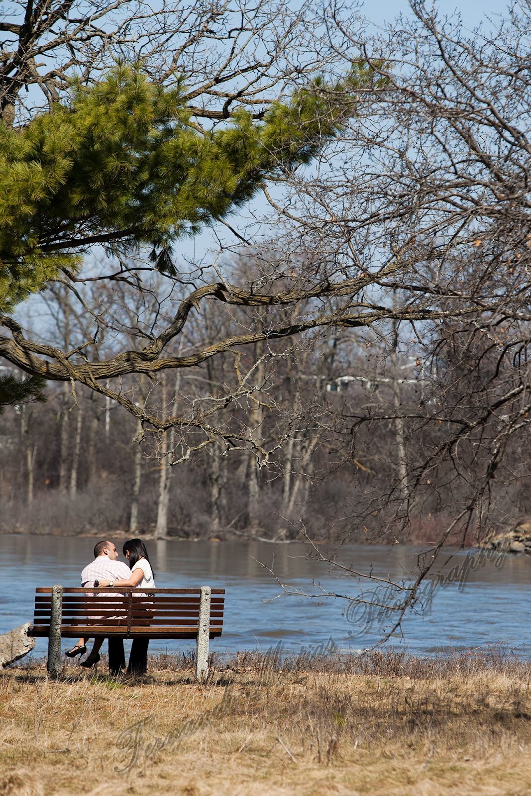 Spring Love