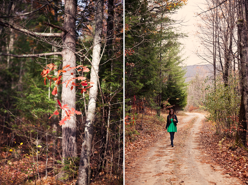 sending postcards autumn in upstate new york