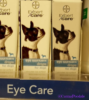 Bayer Expertcare Eye lubricant drops located in eye care section of Petsmart