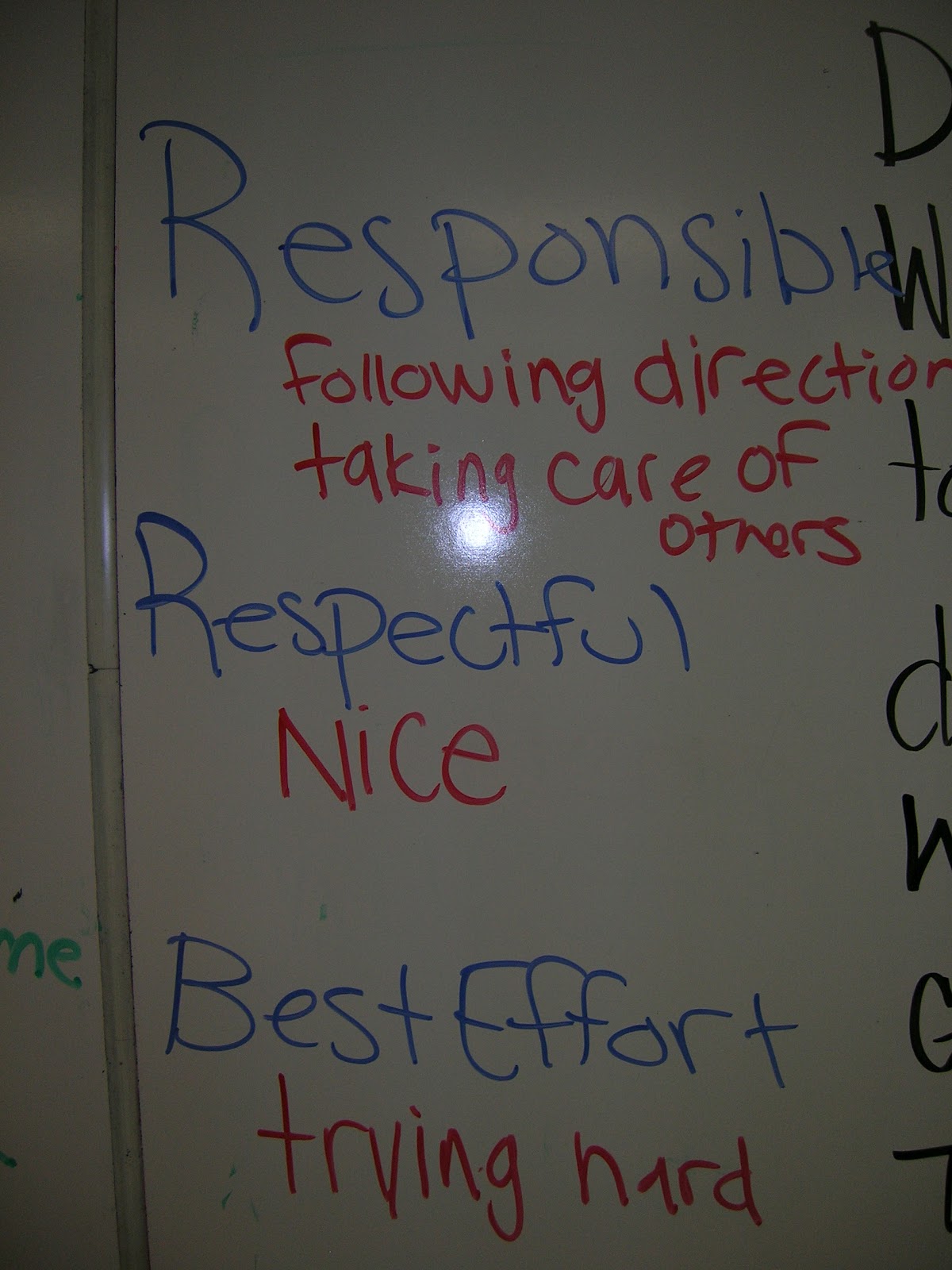 Teach to Learn, Learn to Teach: Learning and Implementing School Wide PBS
