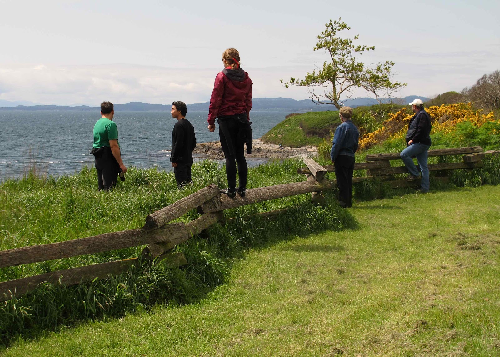 [Image: IMG_1448.jpg]