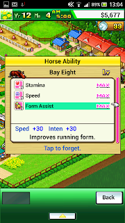 Pocket Stables: Horse Ability