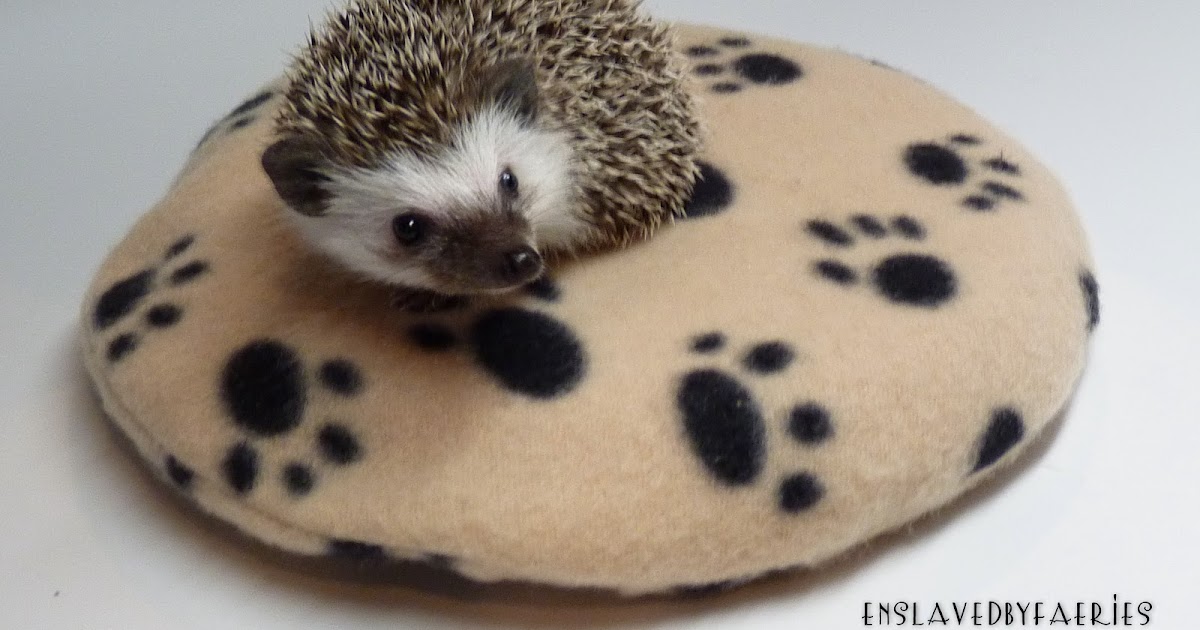 Prickle Pets Quills & Chills SnuggleSafe Heating Pad For Hedgehogs