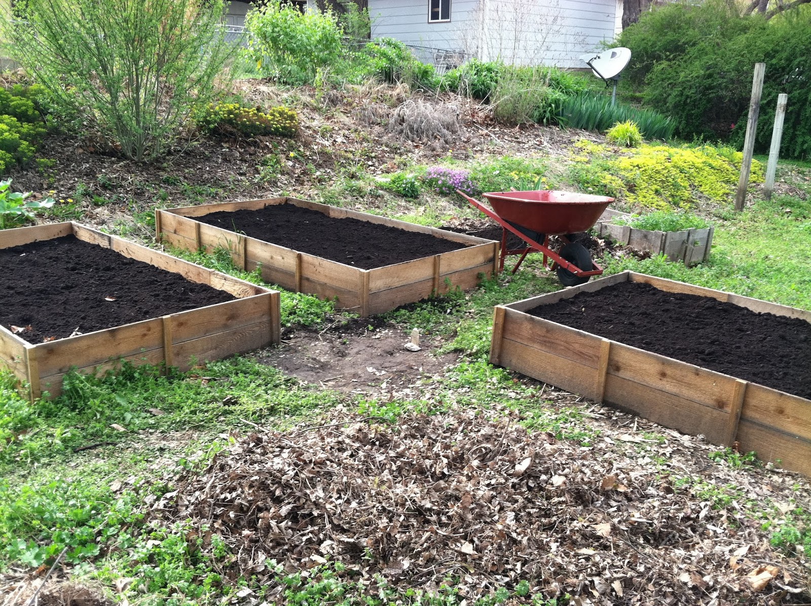 German Jello Salad Cedar Raised Beds I'm finally posting about those