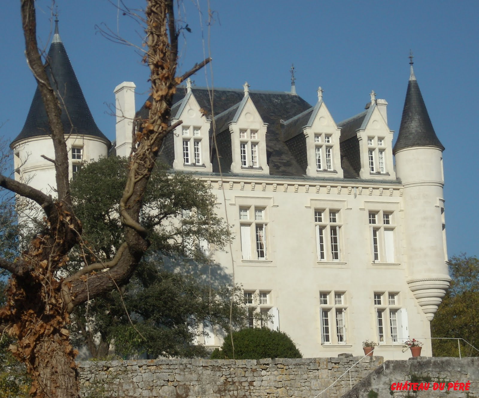 LES MILLEPATTES DE SAINTONGE TAILLEBOURG en CHARENTEMARITIME (17)