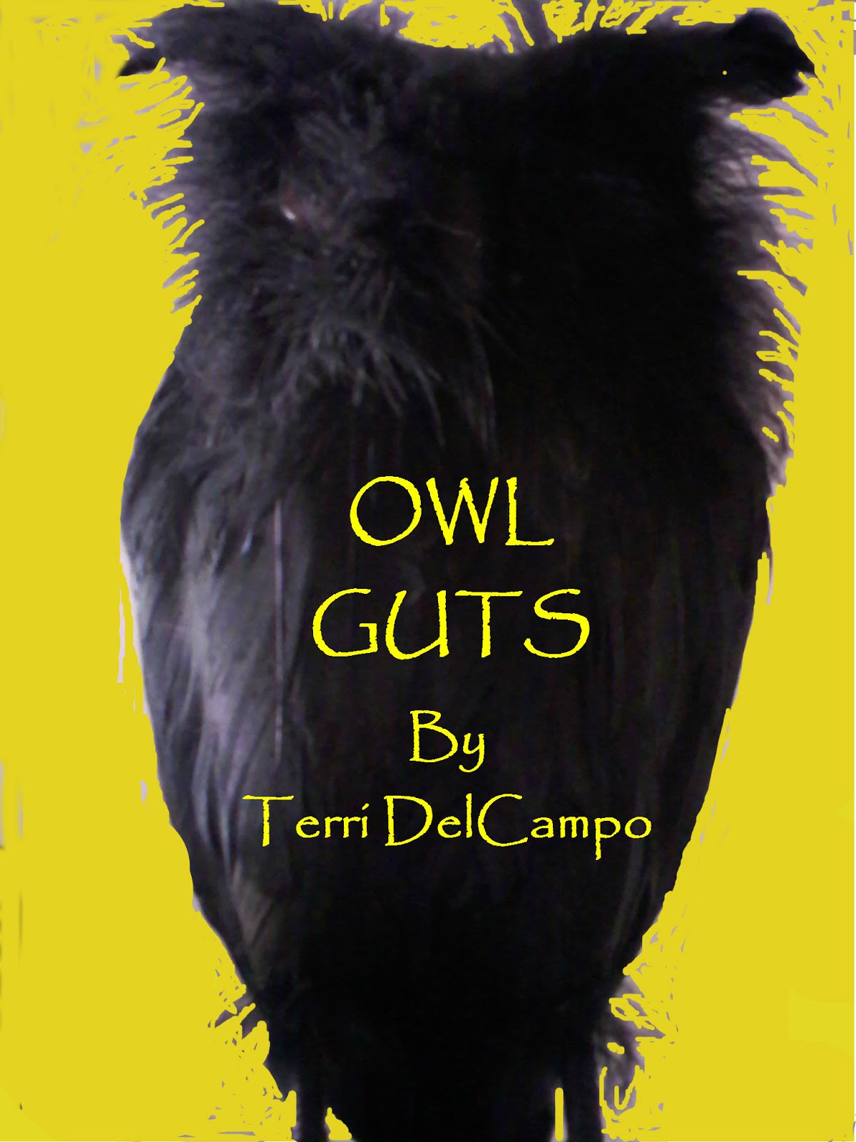 Owl Guts