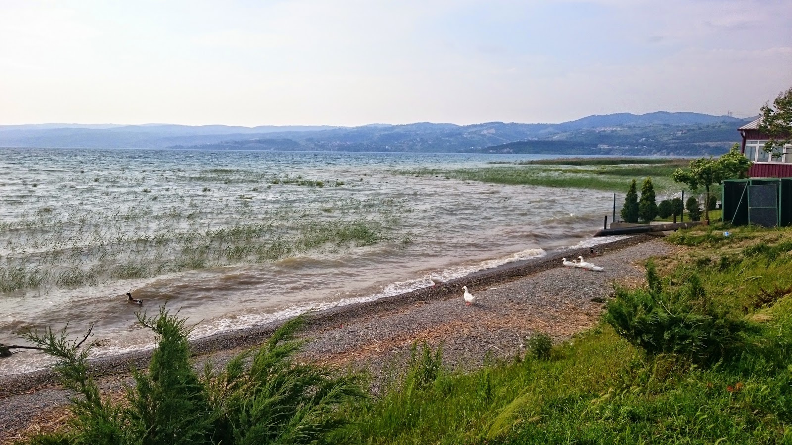 turkiye yi geziyorum sakarya arifiye golbasi park