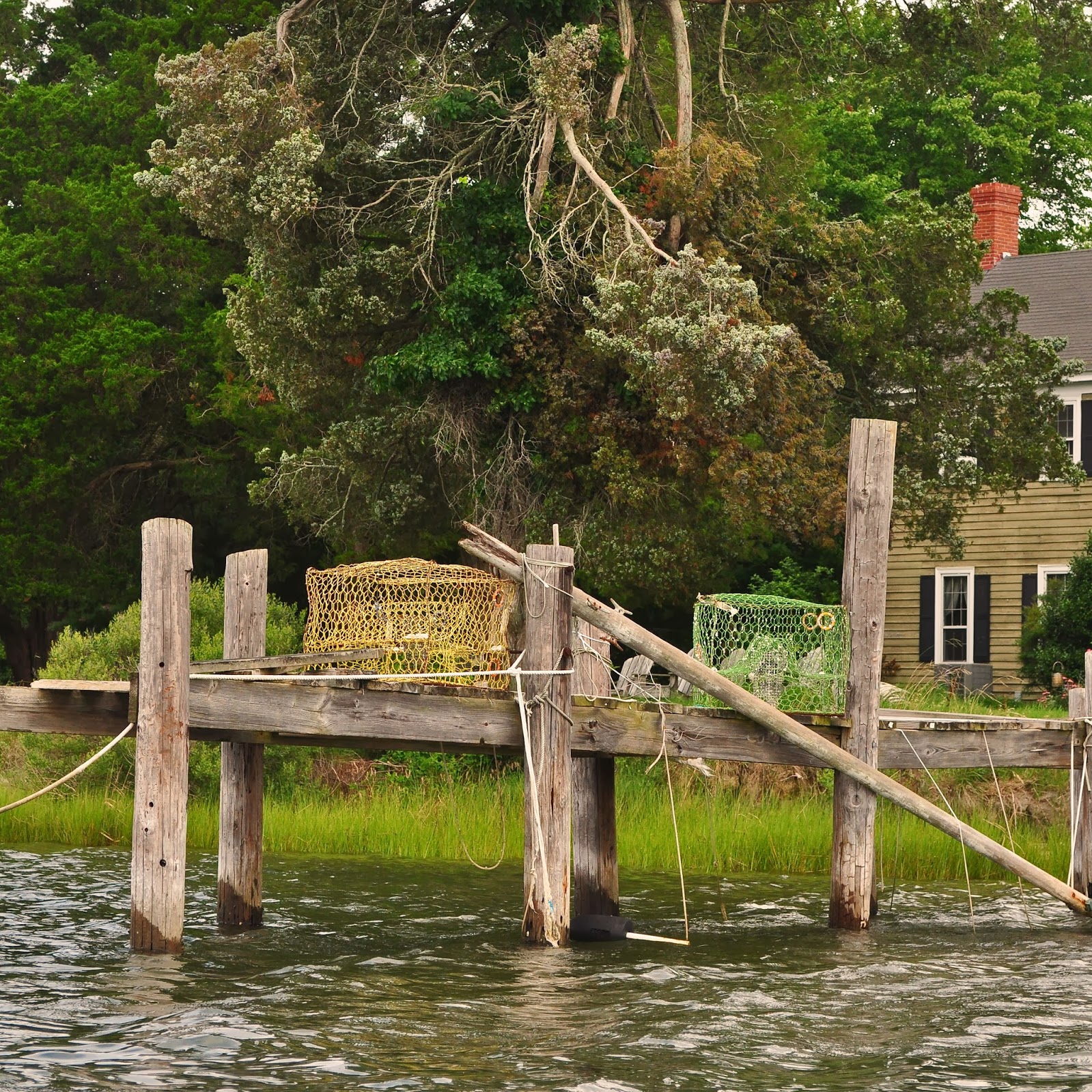 A Tidewater Paddler Onancock Creek and Parkers Marsh 7/21/13
