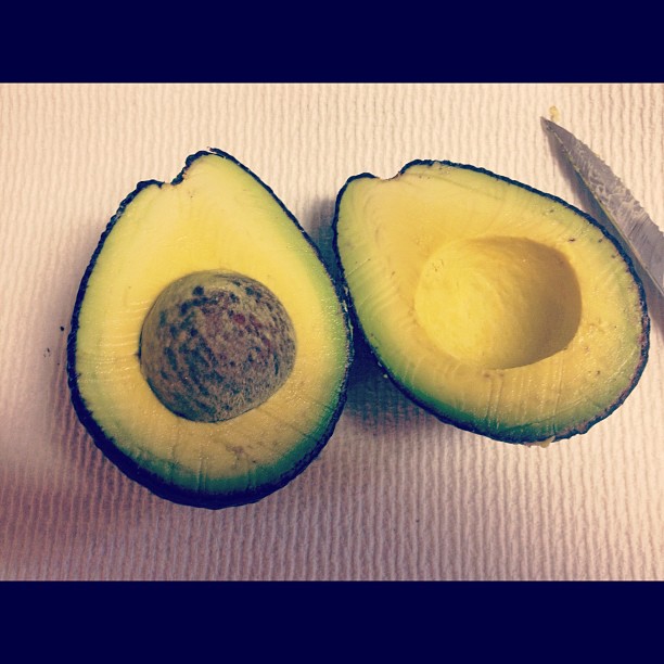 Punk Rock Parents Avocados from Mexico Iloveavocados