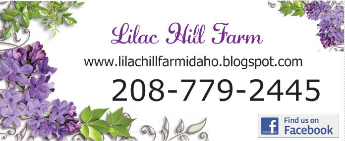 Lilac Hill Farm