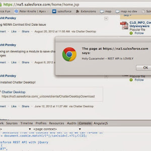 Getting Started With Angular Js With Salesforce Visualforce