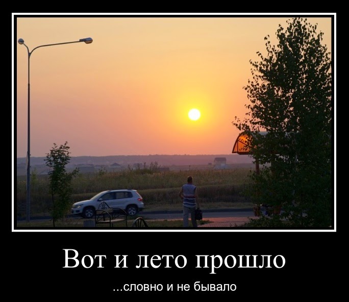 Вылечить почки в домашних условиях Вылечить почки в домашних условиях