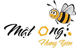 Mật ong nhãn nguyên chất thu hoạch tại trang trại ở Hưng Yên