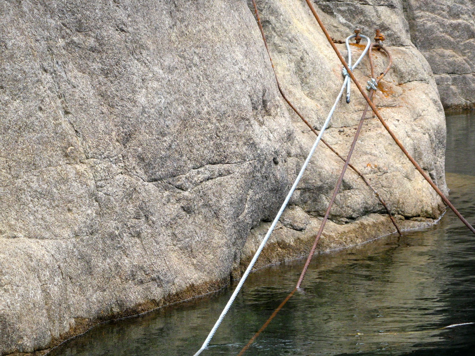 Powell River Books Blog Never Saddle a Dead Horse