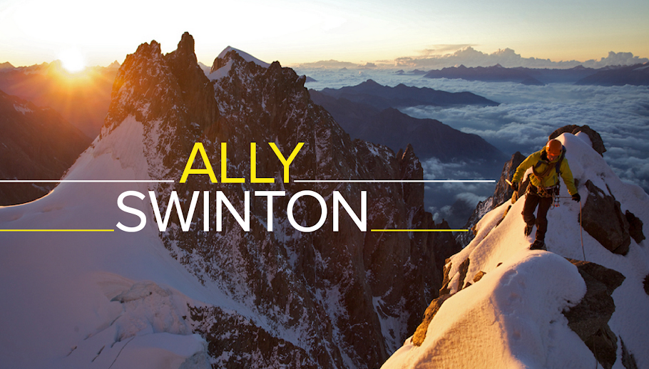 ally swinton blog