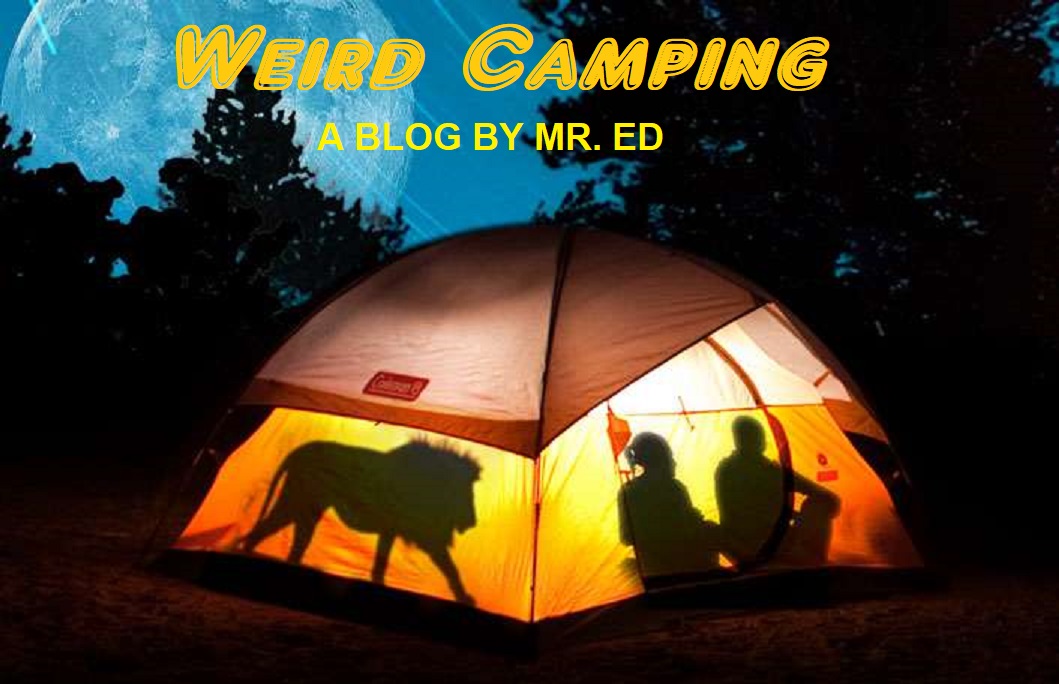 Weird Camping