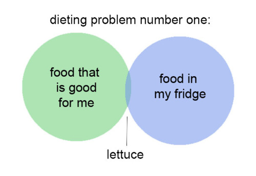 diagram of lettuce