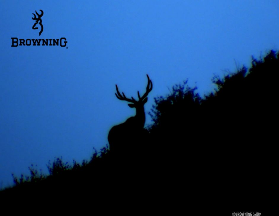 browning logo wallpaper hd wallpapers plus