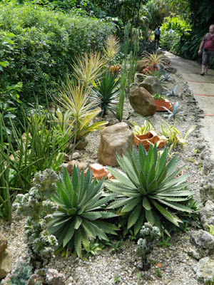 Agaves succulents cacti at Orchid World Barbados by garden muses-not another Toronto gardening blog