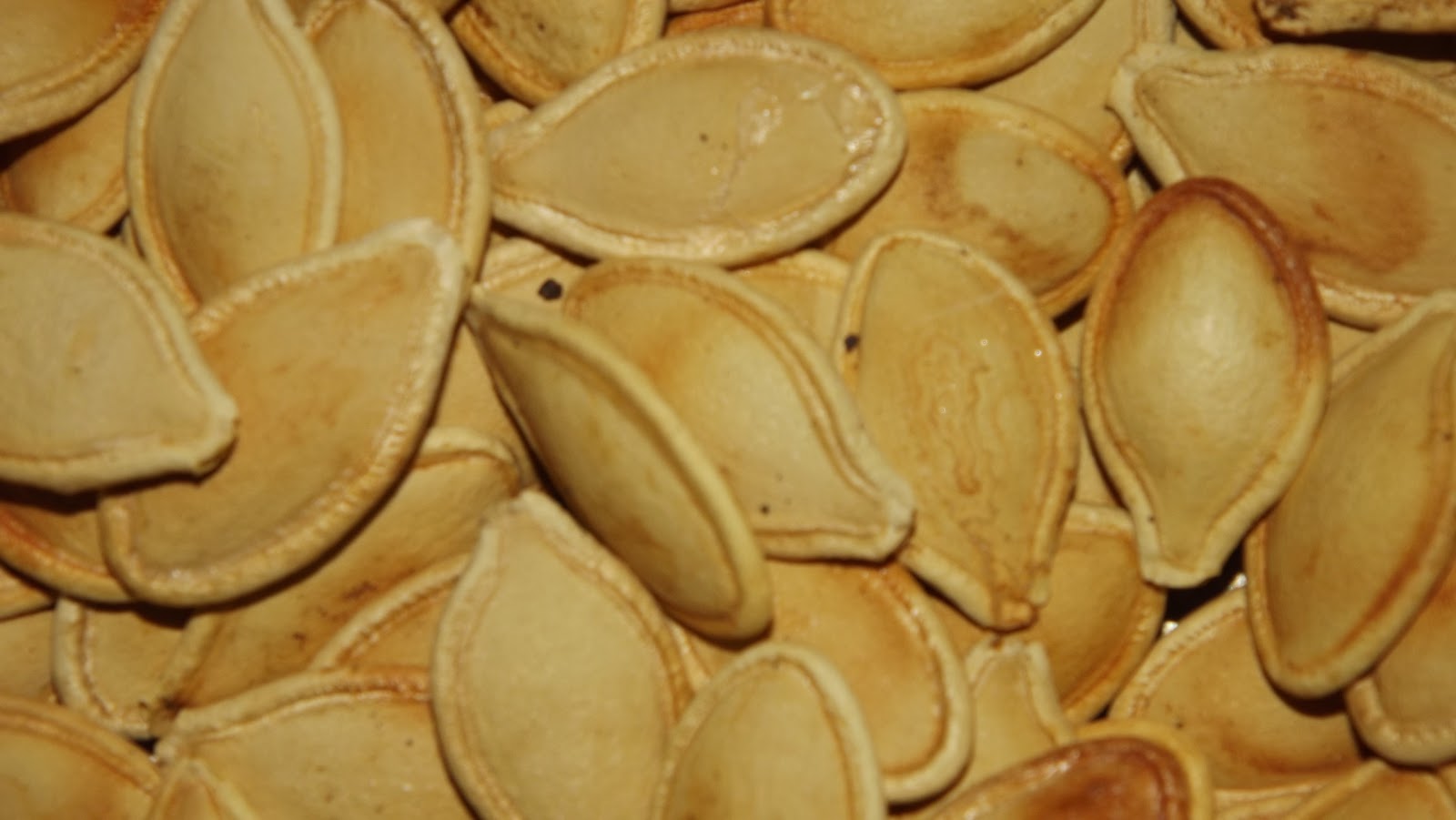 Tom's Food Adventure Toasted Pumpkin Seeds