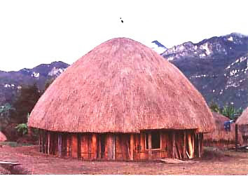 47+ Rumah Adat Papua Berbentuk Images