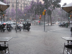 La Lluvia se recrea