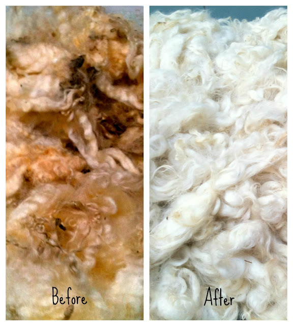 How to wash a fleece... Milo Knows